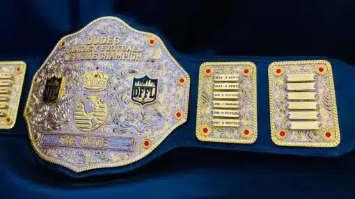Premium Quality NFL Championship Belt Image