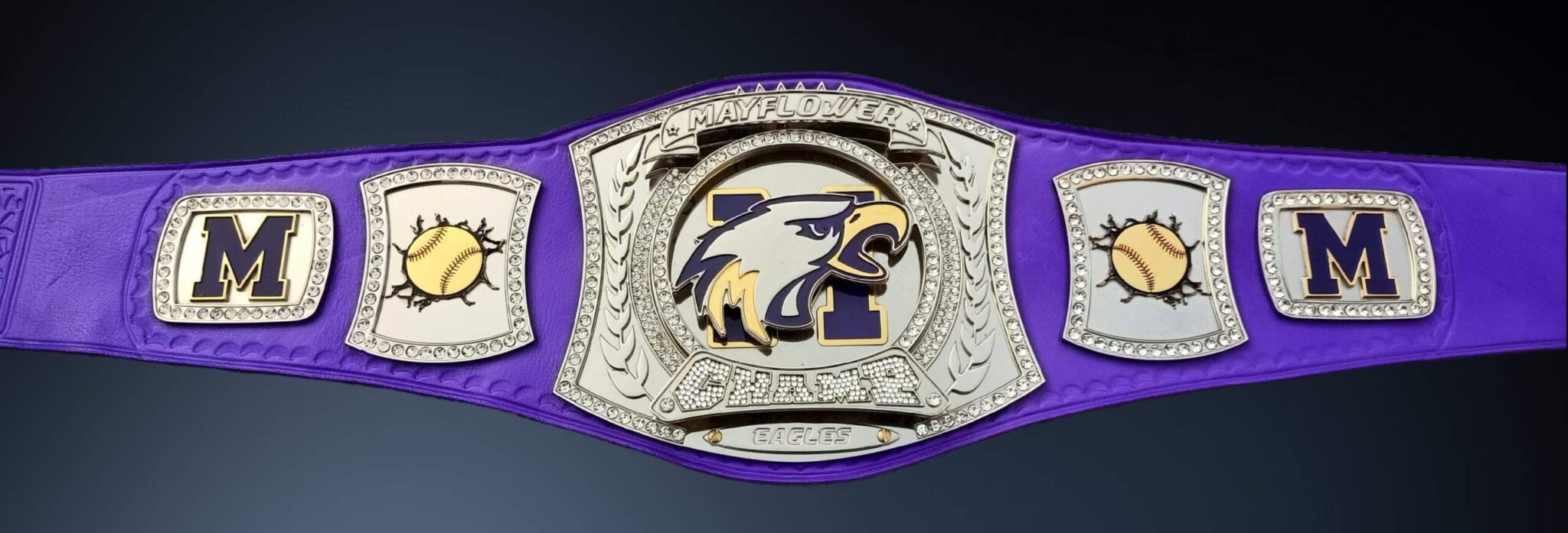 Spinner Championship Belt with Custom Logo