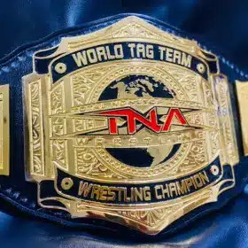 TNA Wrestling Championship Belt