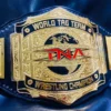 TNA Wrestling Championship Belt