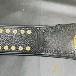 Side View of Attitude Era Women's Championship Replica Title