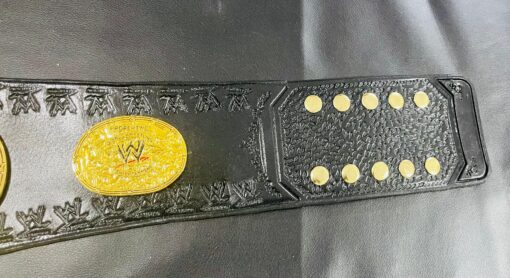 Side View of Attitude Era Women's Championship Replica Title