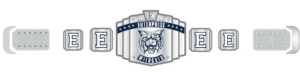 Custom Enterprise Championship Belt