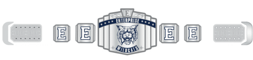 Enterprice Championship Belt