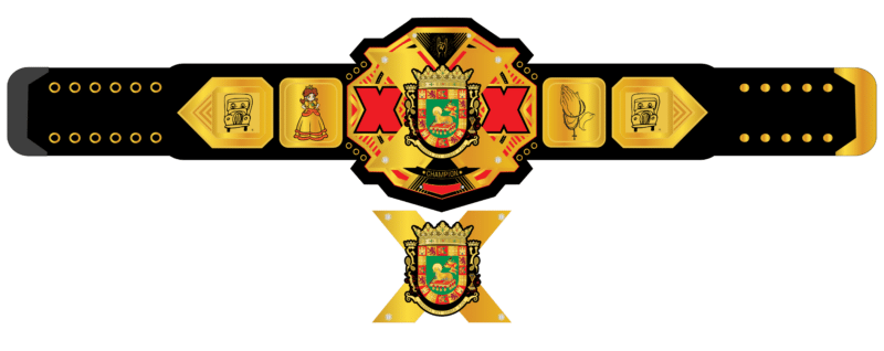 NXT Championship Belt