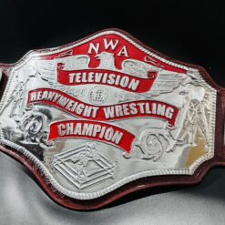 Nwa Tv Title championship Belt