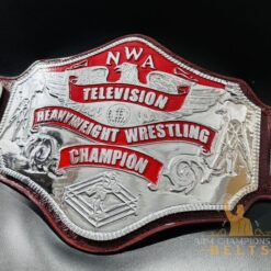 Nwa Tv Title championship Belt