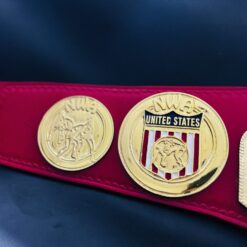 Historic NWA US Tag Team Championship Belt Replica