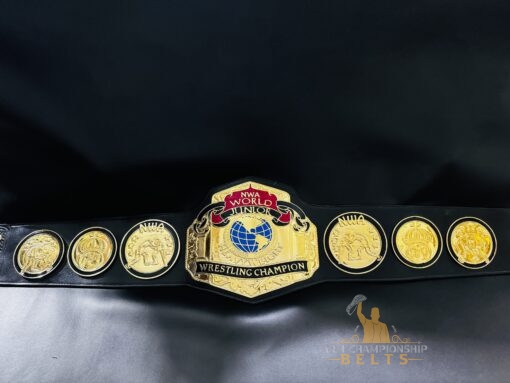 Close-up of NWA Jr. Heavyweight Title replica details