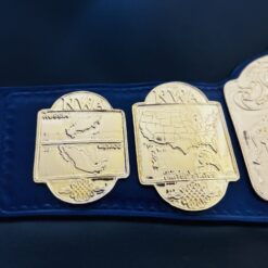 Detailed NWA World Tag Team Championship Replica