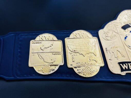 Detailed NWA World Tag Team Championship Replica