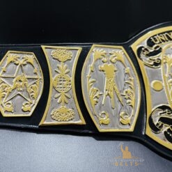 Authentic engraved text on the UWF Television Championship Belt.