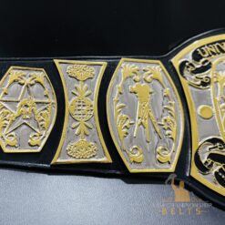 Authentic engraved text on the UWF Television Championship Belt.