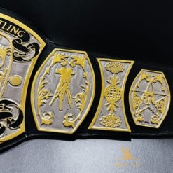 Side view of the UWF Television Championship Belt