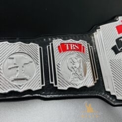 WCW World Television Championship Belt 2