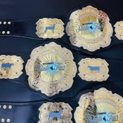 Side view showcasing the shiny chrome finish and detailed engravings on the Wyoming State Fair Championship Belt.