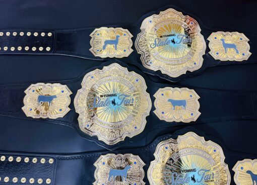 Side view showcasing the shiny chrome finish and detailed engravings on the Wyoming State Fair Championship Belt.