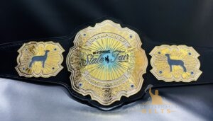 Wyoming State Fair Championship Belts