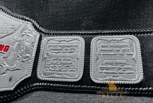 Close-Up of Hogan 1984 Belt’s Nickel-Plated Etching Plates