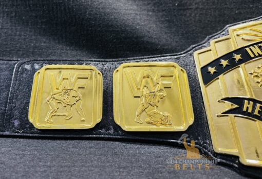 IC Title Belt side plates 4