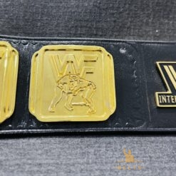 IC Title Belt Side Plates 2