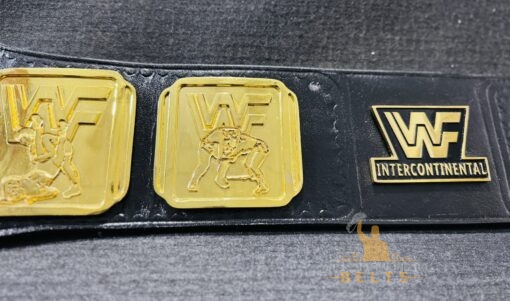 IC Title Belt Side Plates 2