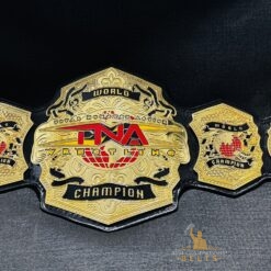 NEW TNA World Championship Belt