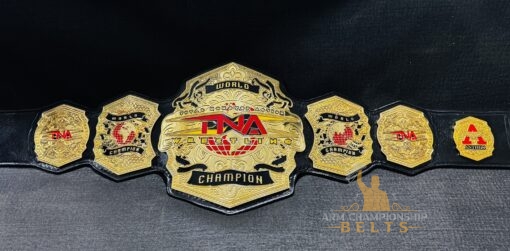 NEW TNA World Championship Belt