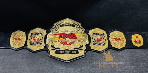 NEW TNA World Championship Belt