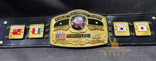 TV-accurate replica of the NWA Domed Globe Heavyweight Championship Belt