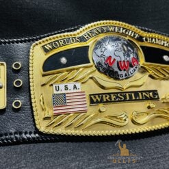 Close-Up of NWA Domed Globe Belt Center Plate