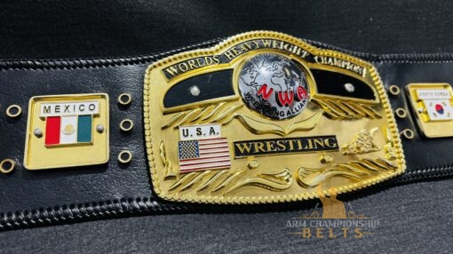 Close-Up of NWA Domed Globe Belt Center Plate