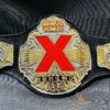 NWA TNA X Title