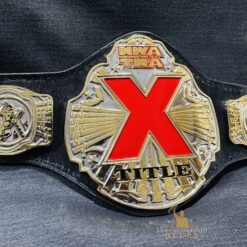 Gold-plated Plates of the NWA TNA X Division Belt