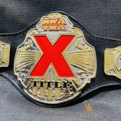 Close-up of NWA TNA X Division Belt