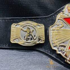 Side view of the NWA TNA X Division Belt with Gold-Plated Etching