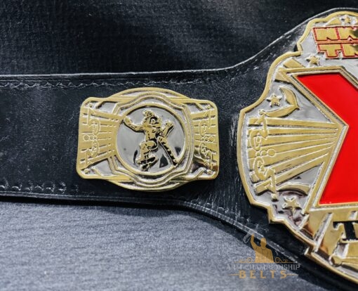 Side view of the NWA TNA X Division Belt with Gold-Plated Etching