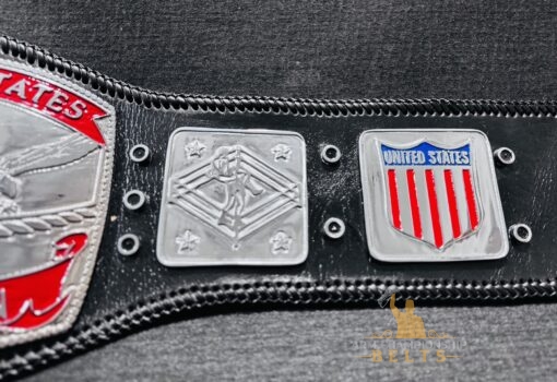 Side Paltes of NWA US Title Belt