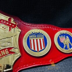 Side Plate Details of NWA United States Title Belt