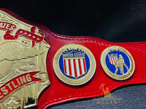 Side Plate Details of NWA United States Title Belt