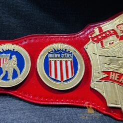 Side Plates of NWA United States Championship Belt Replica