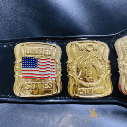 Side Plates of US Title Belt