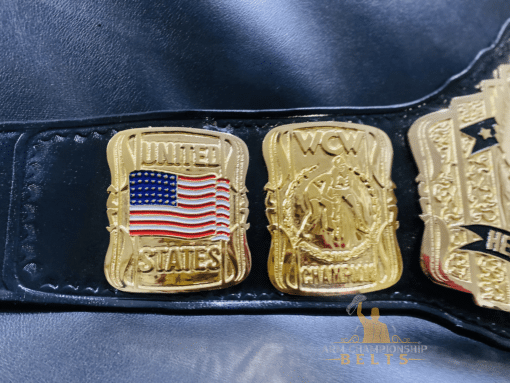 Side Plates of US Title Belt