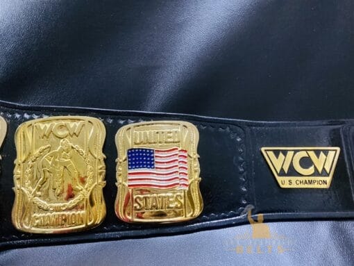 Side Plates of US Title Belt