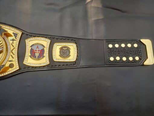 Navy-inspired championship belt with options for custom logos and gold plating.