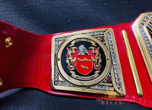 Custom WWE Belt with Personalized Side Plates