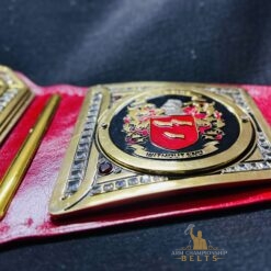 ustom Title Belt side plates for Wrestling Fans