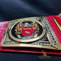 ustom Title Belt side plates for Wrestling Fans