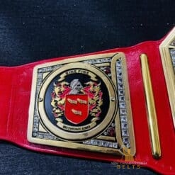 Universal Custom Title Belt side plates with personalized details.