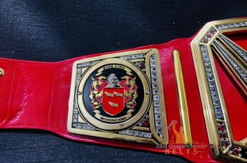 Universal Custom Title Belt side plates with personalized details.